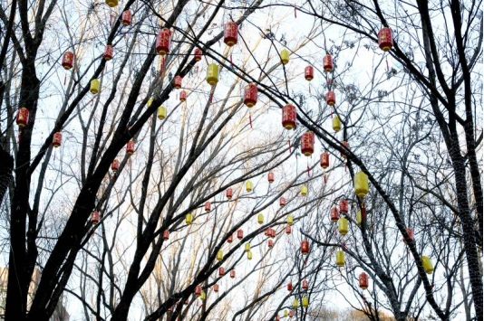 抢先看！马年迎春灯会布展正酣