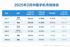 3月中国手机市场数据出炉：小米激活量第一，雷军、卢伟冰发声！图片
