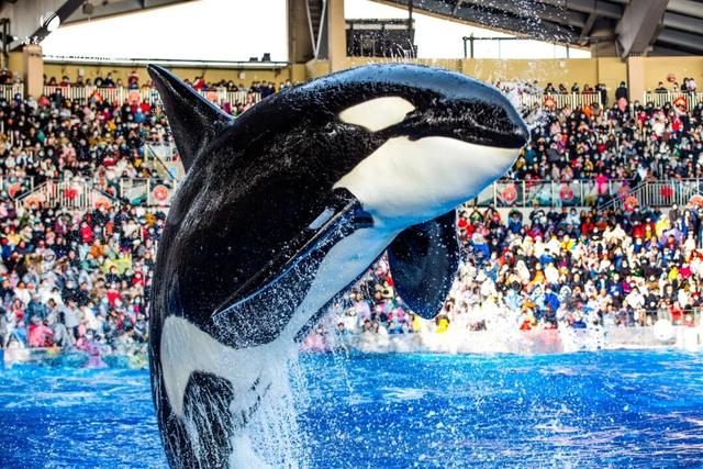 9条乡村旅游线路，就按这个玩…