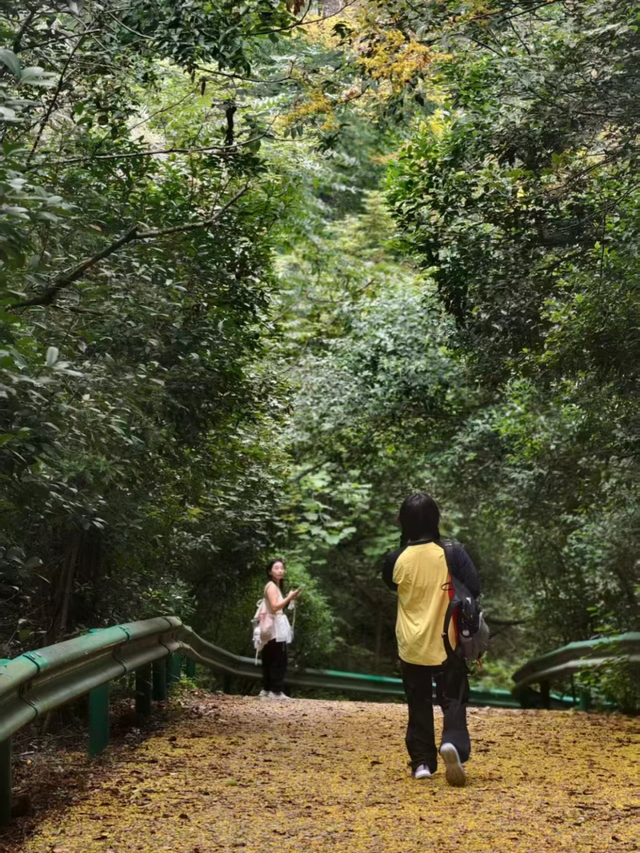 周末，去“捡秋”！