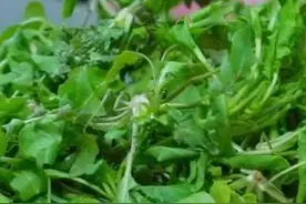 “春菜”入馅，奉贤本地特色汤圆上桌啦！丨有一种过年叫奉贤图片