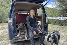 60万元打300头野猪 “野猪猎人”成新职业图片