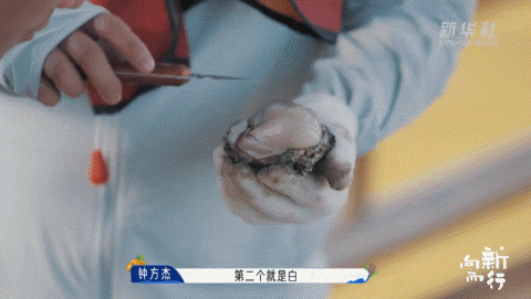 新华社携手董宇辉，走进广西的蔚蓝海岸……