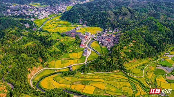 湖南通道侗寨：金秋“丰”景，藏在山水间的诗意画卷