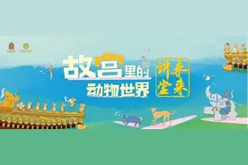 快速变化中的博物馆未来： 2025年故宫博物院“5.18”国际博物馆日两大活动图片