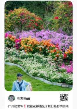 藏不住了！广州花都浪漫花海，被小红书达人发现了~