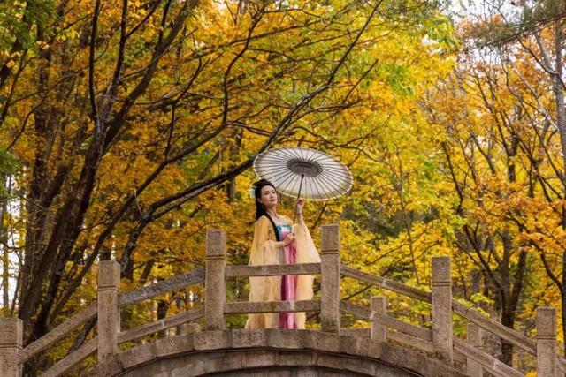 踏破风沙赴神都，白云山赠“终身旅游卡”！让天山来客常回“家”看看