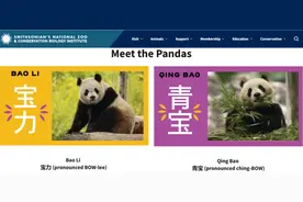 中国大熊猫，萌翻华盛顿图片