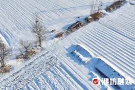 潍坊这里覆雪如画！图片