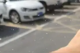 安徽市民反映街头飞舞大量小白虫，城管：已进行两周的虫害消杀，仍在继续工作图片