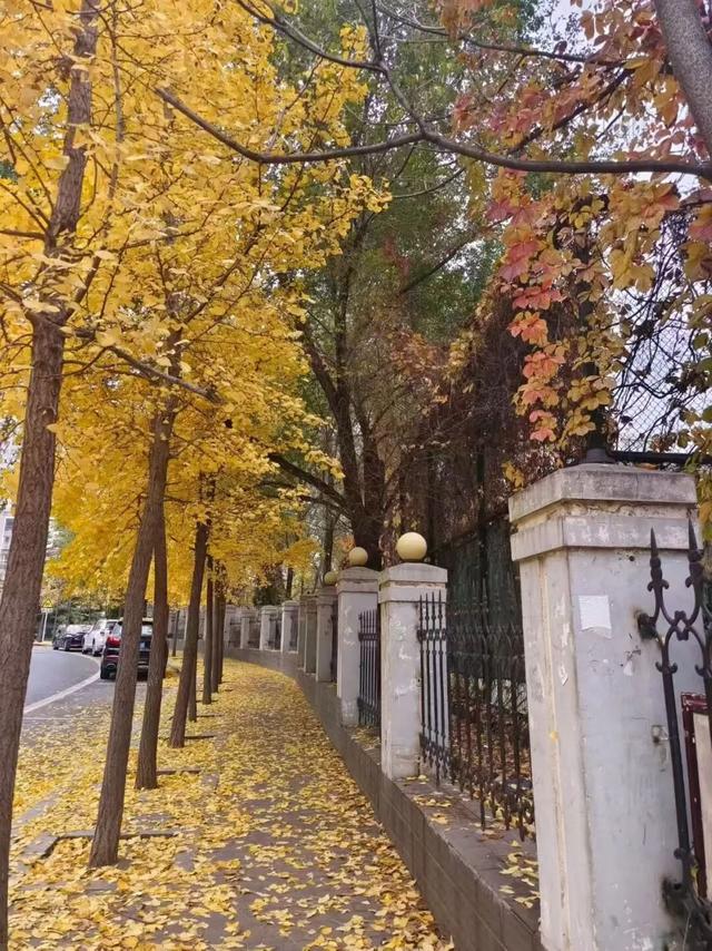 “缓扫”了，快点来大连拍照打卡吧！