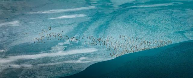 Come on！让日照因您的光影而璀璨！