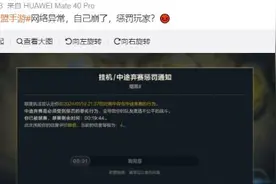 英雄联盟手游崩了上热搜 玩到一半就掉线图片