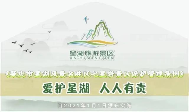 暑假遛娃新姿势！星湖暑期亲子研学盛宴：仙鹤、萌宠、虫趣全解锁～