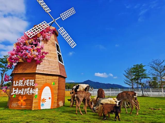 门票免费送！来高明旺林，一键解锁“躺平式遛娃”！