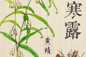 寒露｜秋风起桂花香 一波好天气排队上场图片