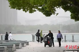 安徽合肥迎大风天气图片