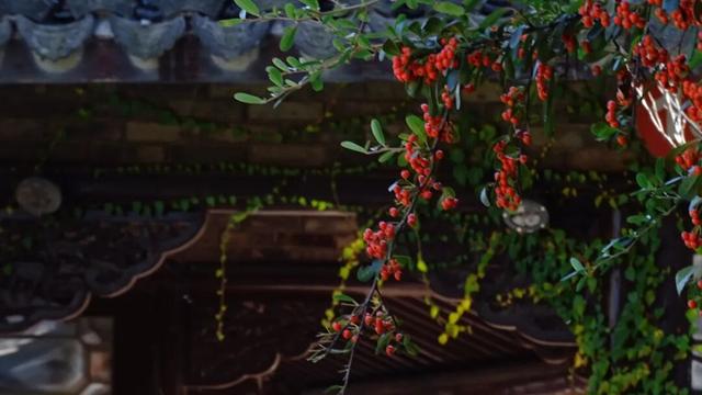 季节限定的美，就藏在闵行这座公园里！随手拍都出片→