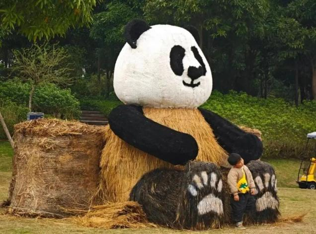 全川“秋假”看名山！这份“亲子游”全攻略，承包你的诗与远方！