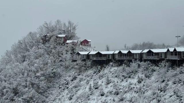 此刻，武汉真的下雪了！