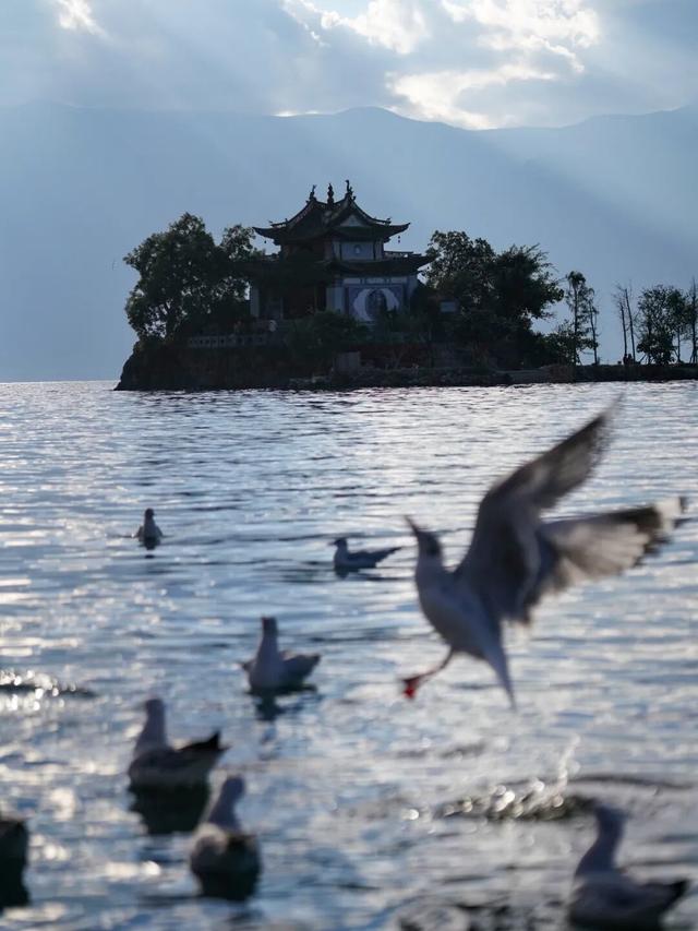 看，此刻的大理！