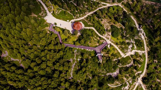 这里不止阿胶和玫瑰！济南平阴18处共享绿地 22公里绿道 逛公园成生活常态