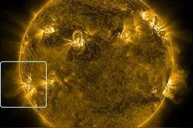法国古树年轮记录下已知最强太阳风暴图片