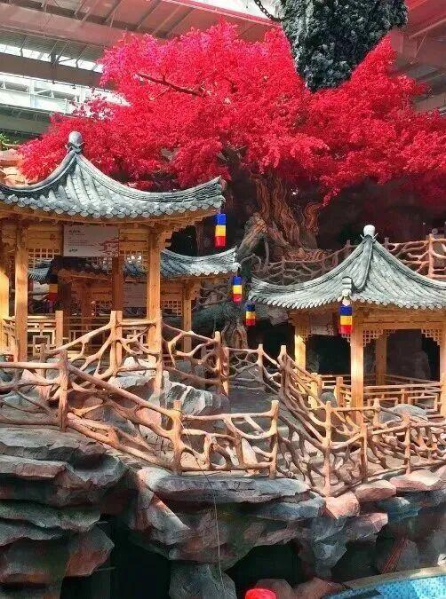 藏不住啦！延边这些“顶流”都是秋色巅峰