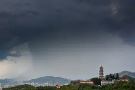 台风“蝴蝶”来袭：广东海南部分列车停运，海口三港渡轮停运图片