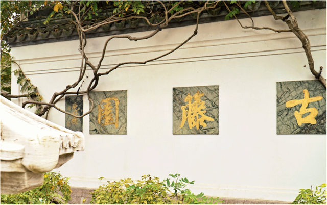 古藤园曾经竟是一片热闹的集镇？丨闵行情