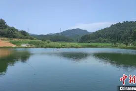 （乡村行·看振兴）江西南城：“养鱼大户”化身“名誉村长” “游出”幸福致富路图片