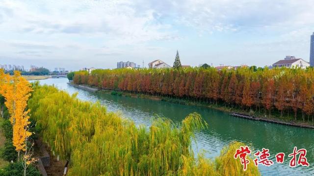 来常德，寻一抹初冬的诗意