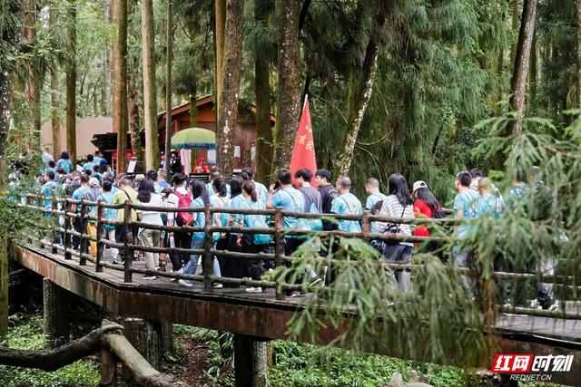 全球2000爱好者集结！张家界鹞子寨登山赛：竞技与自然美景撞个满怀