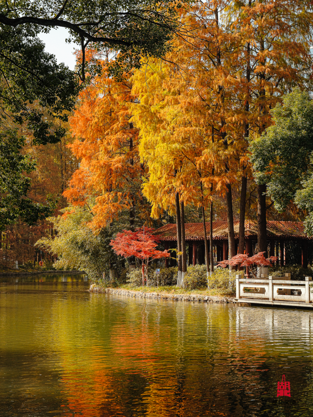 寒潮倒计时！再不来就迟了