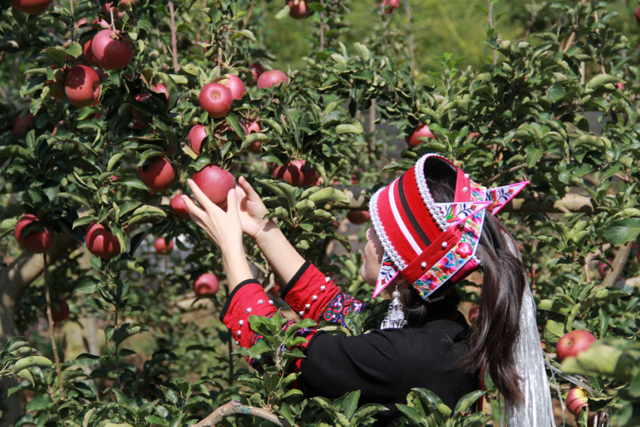 沉浸式漫游石林长湖 这份吃住行一站式攻略请查收