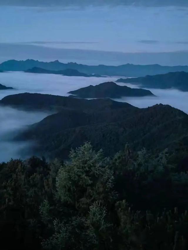 建议，所有懒人都来趟洛阳...