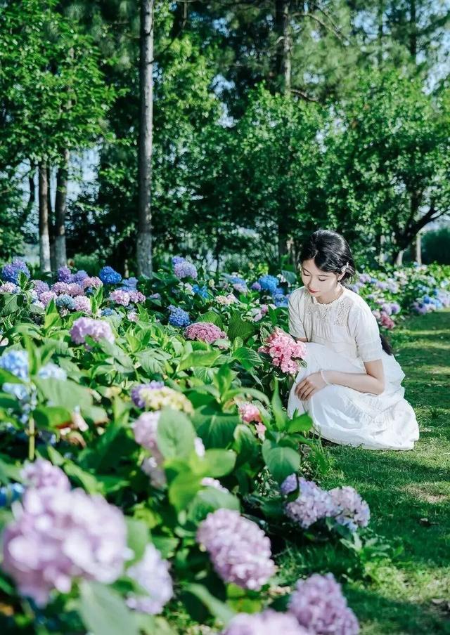 台州这些初夏赏花秘境，承包你的朋友圈