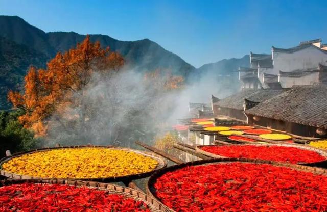 9月19日启动，这个“好看好玩好优惠”的专场市集，错过再等一年~