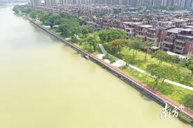 颜值UP！东莞道滘白鹭围“碧道walk”约定你→图片