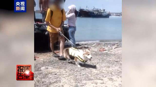 漳州无人岛现巨大垃圾天坑，非法包船登岛成公开生意