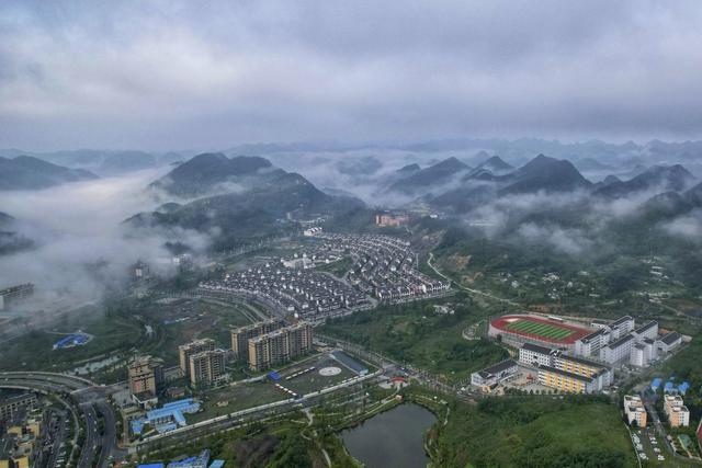 从“省花”提案到全域兴旺!百里杜鹃绘就旅游产业蓬勃发展“新图景”