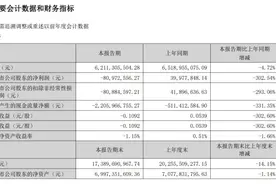 白酒收入下滑，猪肉业务亏损，顺鑫农业中报由盈转亏，九折剥离地产公司能成吗？图片