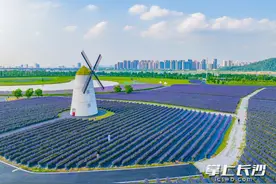 超6万平方米花海！月亮岛将于5月20日焕新回归图片