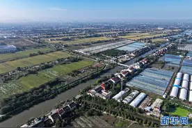 江苏靖江：产业兴村庄美图片