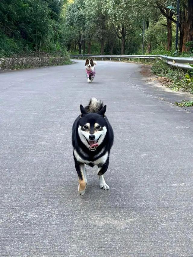 这些“微活瞬间”，是2025年的幸福具象