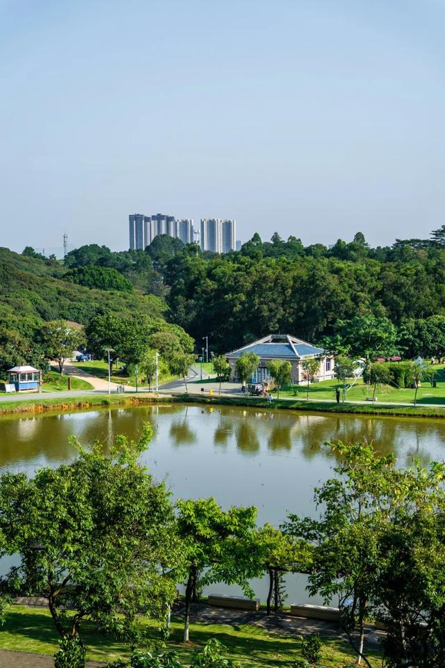 双节“反向旅游”？宝安这几个冷门地，人少景也美