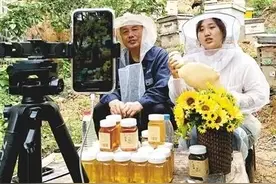 代表建议有回音丨养蜂却不“一窝蜂” 河南小蜜蜂“飞”出大产业图片