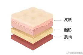 为什么肚子上的肉这么难减图片