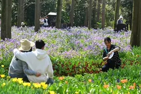 花香邂逅咖啡香，2025崇明花朝节开启春日里的双倍浪漫图片