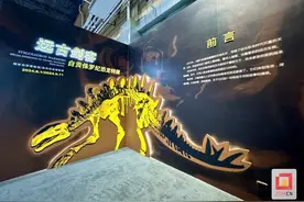 “远古剑客——自贡侏罗纪恐龙特展”将亮相国家自然博物馆图片